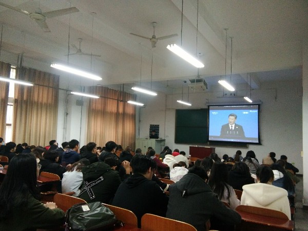 关注进博会3_副本.jpg